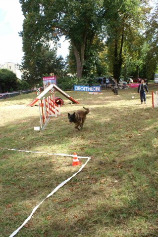 foire-haricots 2011-09-17et18